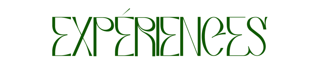 Expériences